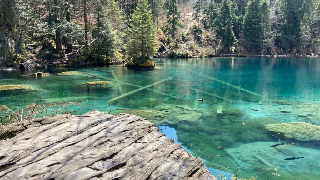 Naturpark Blausee Schweiz - Blausee Nature Park Switzerland